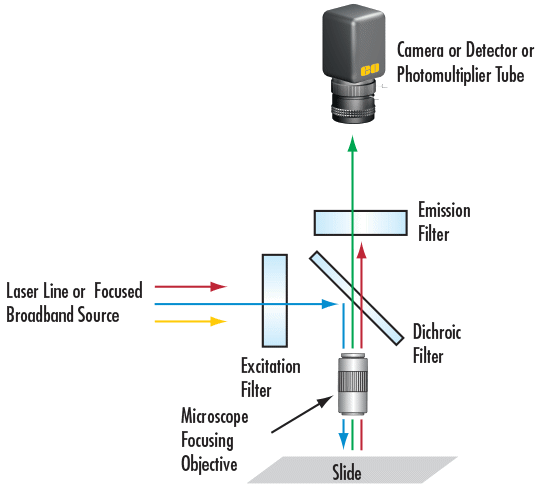 Basic Optical Filtering Arrangement for Fluorescence Microscopy