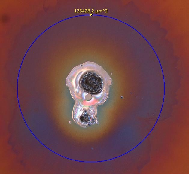 Depiction of Figure 3