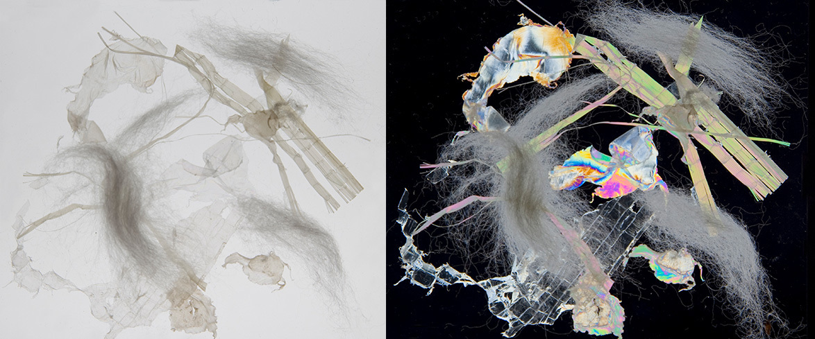 By using ITOS polarizers, the hard-to-detect foreign transparent and semi-transparent parts in cotton (left) become visible and detectable by using polarized light (right)