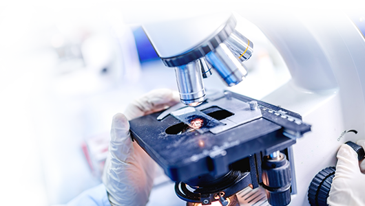 Diagnostic Techniques