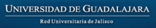 Second Place Americas - Universidad de Guadalajara